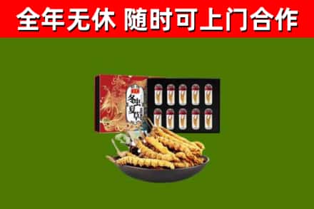 铁东区回收冬虫夏草价格